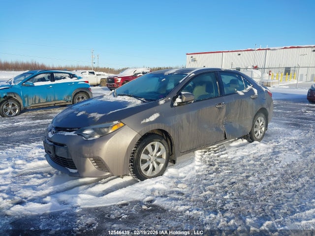 2T1BURHE0GC566922 Toyota COROLLA LE