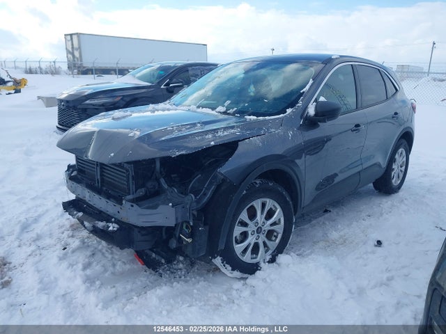 Aukcja sprzedaży 2023 Ford Escape Active, vin: 1FMCU9GN3PUA63776, numer aukcji: 12546453