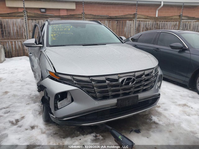 Продаж на аукціоні авто 2024 Hyundai Tucson, vin: KM8JCCDE8RU351579, номер лоту: 12546461