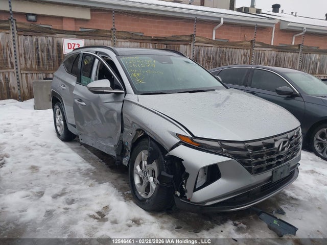 Продаж на аукціоні авто 2024 Hyundai Tucson, vin: KM8JCCDE8RU351579, номер лоту: 12546461