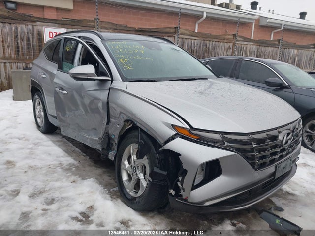 Продаж на аукціоні авто 2024 Hyundai Tucson, vin: KM8JCCDE8RU351579, номер лоту: 12546461