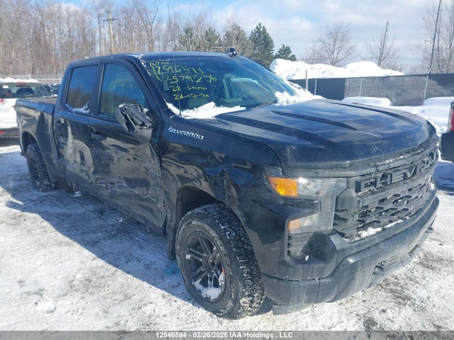 2022 Chevrolet Silverado 1500 მანქანა იყიდება აუქციონზე, vin: 1GCPDBEK3NZ579206, აუქციონის ნომერი: 12546594