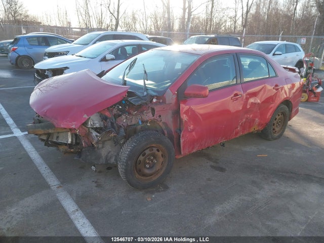 12546707 :رقم المزاد ، 2T1BU40E99C101248 vin ، 2009 Toyota Corolla S مزاد بيع