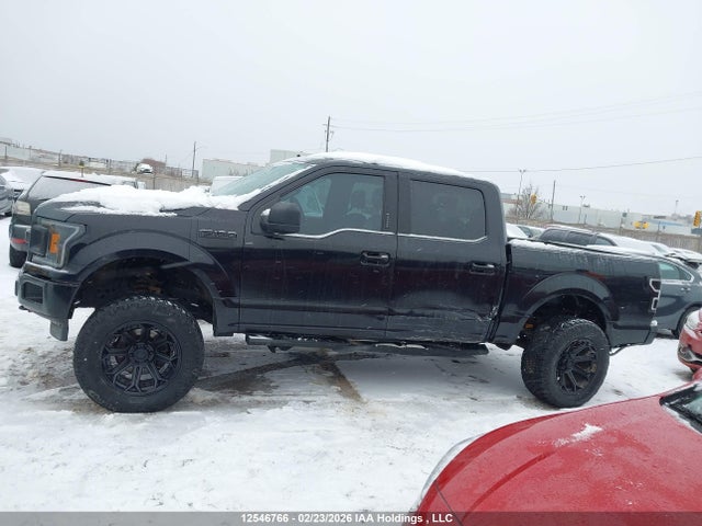 Aukcja sprzedaży 2020 Ford F-150 Xlt, vin: 1FTEW1EP0LKF49688, numer aukcji: 12546766