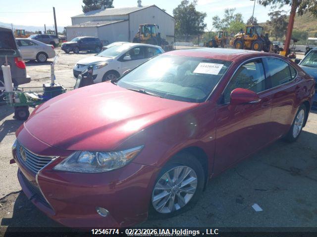 12546774 :رقم المزاد ، JTHBW1GG9D2013340 vin ، 2013 Lexus Es 300h مزاد بيع