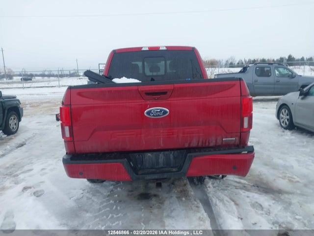 2019 Ford F-150 მანქანა იყიდება აუქციონზე, vin: 1FTEW1EPXKFB38323, აუქციონის ნომერი: 12546866