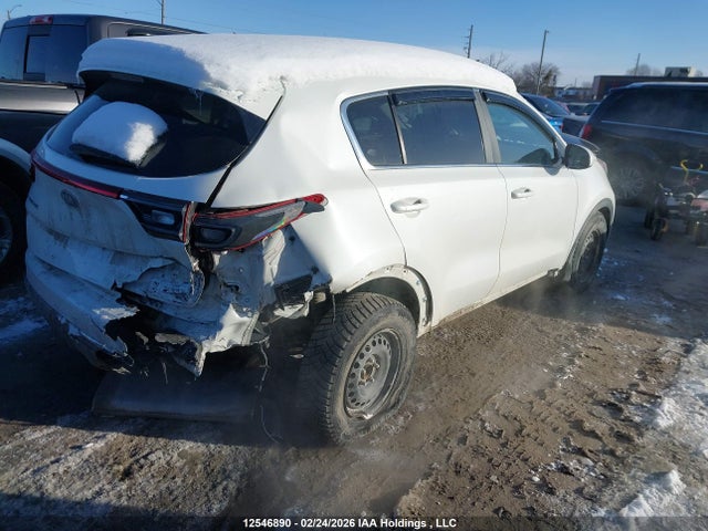 KIA Sportage 2020 KNDPM3AC2L7744871 Image 4