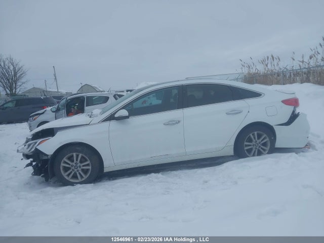 5NPE24AFXHH456371 Hyundai SONATA GLS