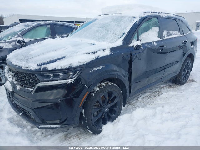 12546993 :رقم المزاد ، 5XYRKDLF5PG194019 vin ، 2023 Kia Sorento 2.5t Sx W/black Leather/2.5t Sx W/burgundy Leather مزاد بيع