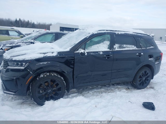 12546993 :رقم المزاد ، 5XYRKDLF5PG194019 vin ، 2023 Kia Sorento 2.5t Sx W/black Leather/2.5t Sx W/burgundy Leather مزاد بيع