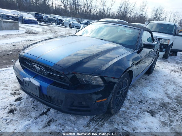 1ZVBP8EMXE5225337 Ford Mustang