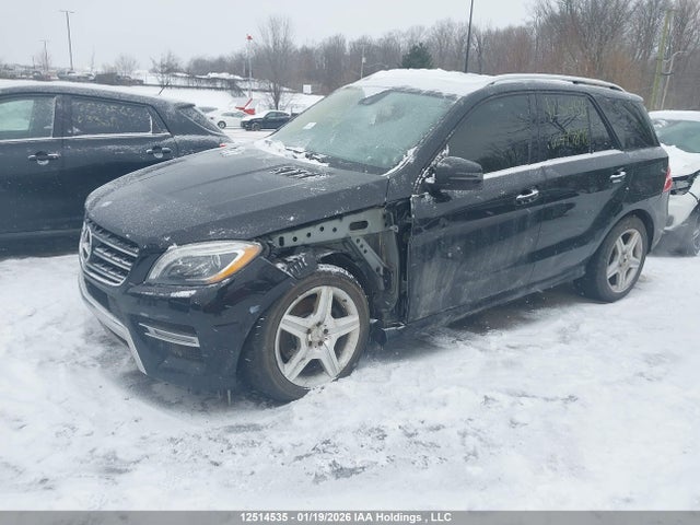 Mercedes-Benz Ml 350 Bluetec 4matic 2015 4JGDA2EBXFA497898 Image 2