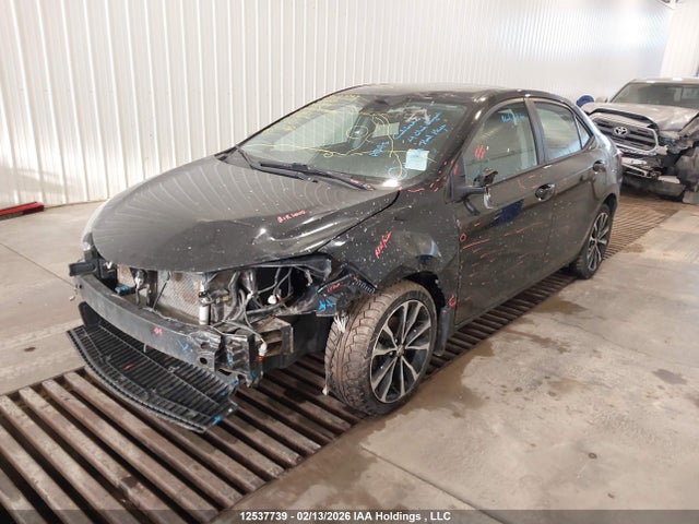 2T1BURHE2KC149374 Toyota COROLLA SE