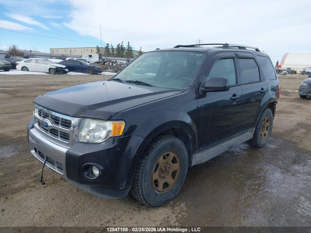 12547108 :رقم المزاد ، 1FMCU9EGXBKA00943 vin ، 2011 Ford Escape Limited مزاد بيع