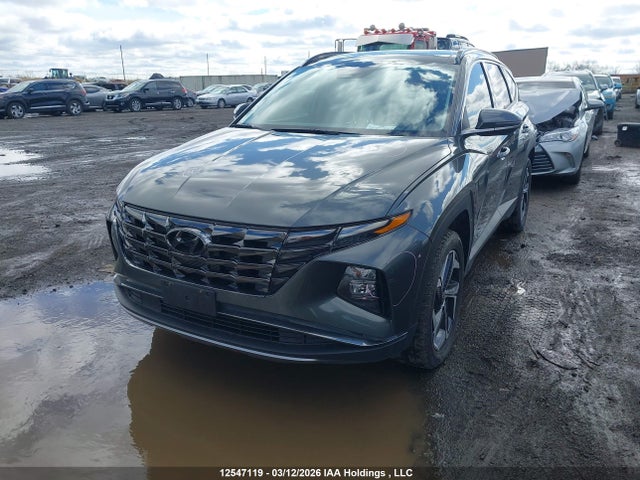 KM8JCCA11PU107724 Hyundai Tucson Luxury Hybrid Awd