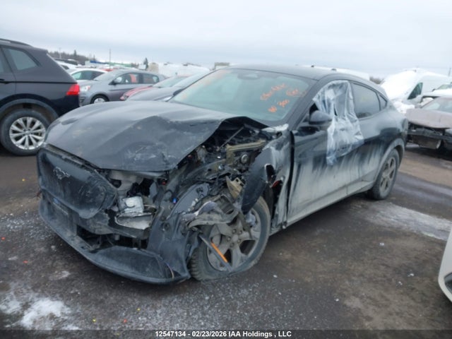 Aukcja sprzedaży 2023 Ford Mustang Mach-e Select, vin: 3FMTK1S52PMB07348, numer aukcji: 12547134