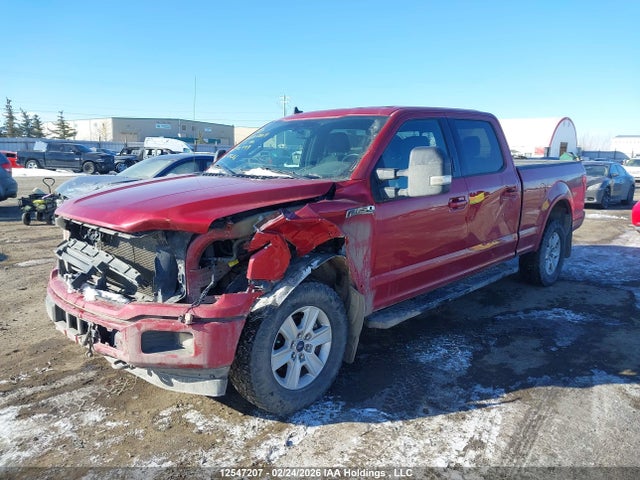 1FTFW1E4XLKE98999 Ford F-150 Xlt