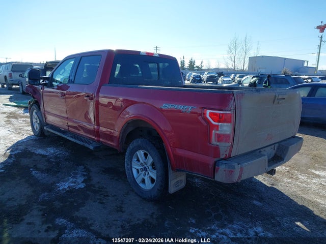 1FTFW1E4XLKE98999 Ford F-150 Xlt