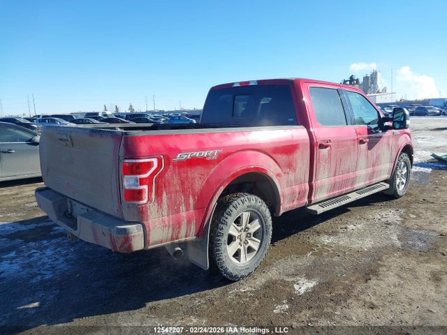 1FTFW1E4XLKE98999 Ford F-150 Xlt