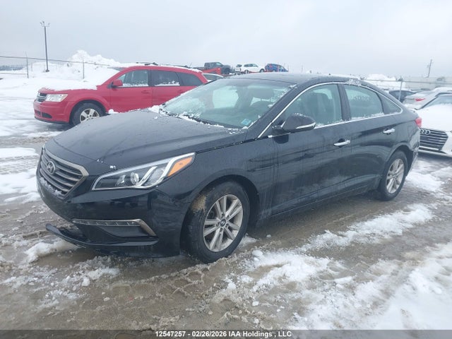 5NPE24AF0HH484910 Hyundai SONATA GLS
