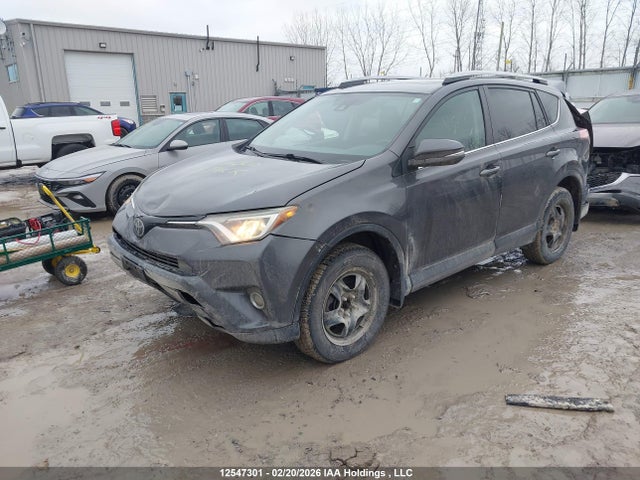 Toyota Rav4 Xle 2017 2T3WFREV7HW385579 Image 2