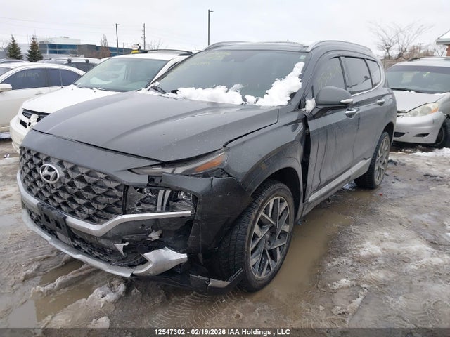 Продаж на аукціоні авто 2023 Hyundai Santa Fe Ultimate Calligraphy, vin: 5NMS5DAL2PH527736, номер лоту: 12547302