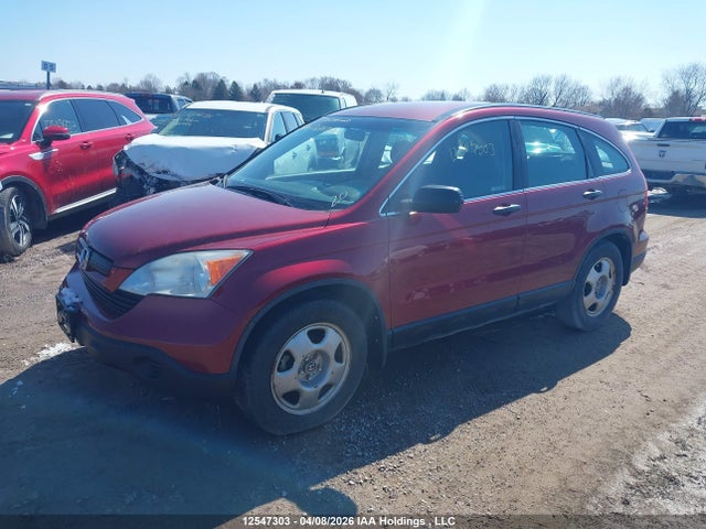 Продаж на аукціоні авто 2007 Honda Cr-v, vin: 5J6RE38357L801549, номер лоту: 12547303