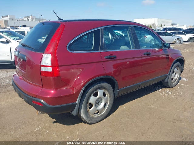 Продаж на аукціоні авто 2007 Honda Cr-v, vin: 5J6RE38357L801549, номер лоту: 12547303