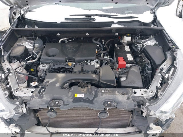 2T3R1RFV9RC442491 Toyota Rav4 Xle