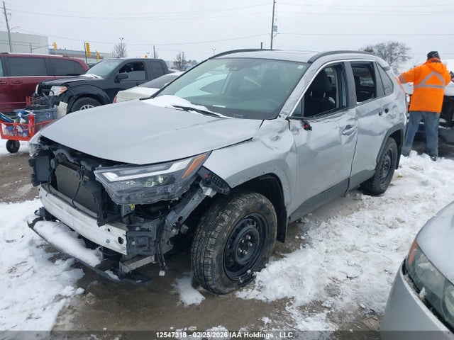 2T3R1RFV9RC442491 Toyota Rav4 Xle