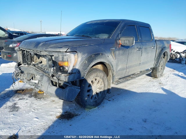 12547321 :رقم المزاد ، 1FTEW1E80PFC58339 vin ، 2023 Ford F150 Supercrew مزاد بيع