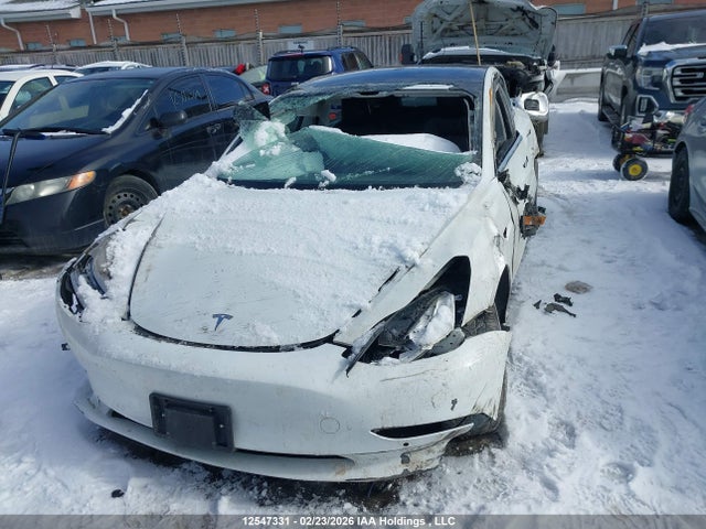 Aukcja sprzedaży 2020 Tesla Model 3 Standard Range Plus, vin: 5YJ3E1EA7LF808647, numer aukcji: 12547331