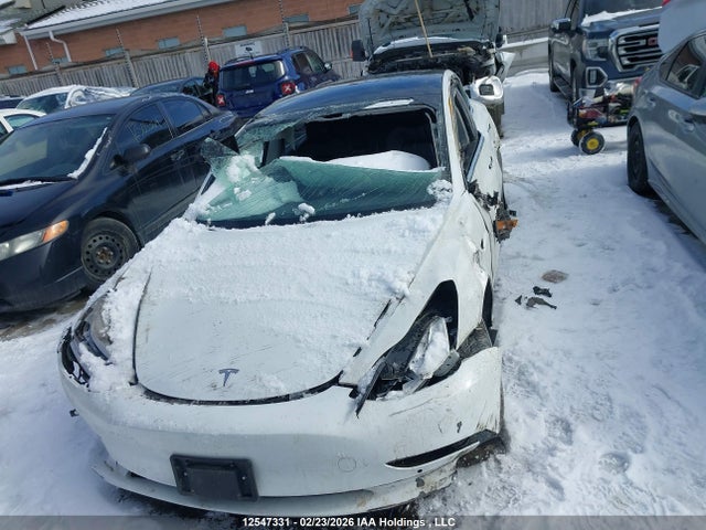 Aukcja sprzedaży 2020 Tesla Model 3 Standard Range Plus, vin: 5YJ3E1EA7LF808647, numer aukcji: 12547331