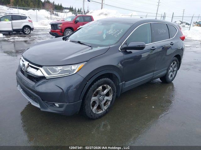 2HKRW2H80KH136484 Honda CR-V EXL