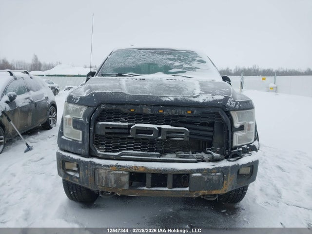 12547344 :رقم المزاد ، 1FTFW1EF1GFD25355 vin ، 2016 Ford F150 Supercrew مزاد بيع