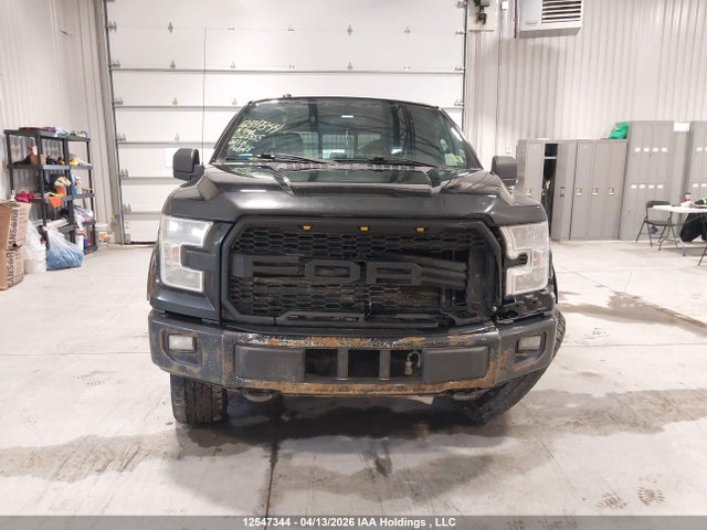 12547344 :رقم المزاد ، 1FTFW1EF1GFD25355 vin ، 2016 Ford F150 Supercrew مزاد بيع