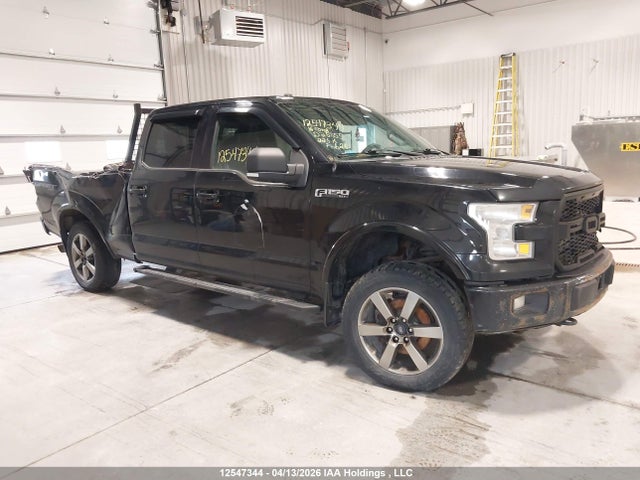 12547344 :رقم المزاد ، 1FTFW1EF1GFD25355 vin ، 2016 Ford F150 Supercrew مزاد بيع