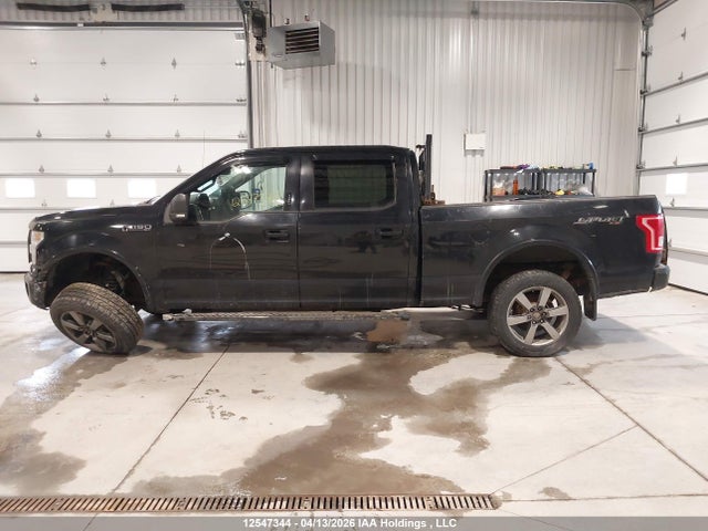 12547344 :رقم المزاد ، 1FTFW1EF1GFD25355 vin ، 2016 Ford F150 Supercrew مزاد بيع