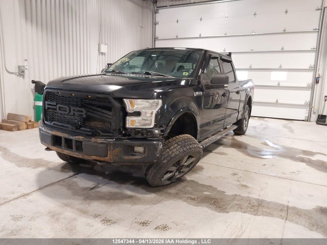 12547344 :رقم المزاد ، 1FTFW1EF1GFD25355 vin ، 2016 Ford F150 Supercrew مزاد بيع