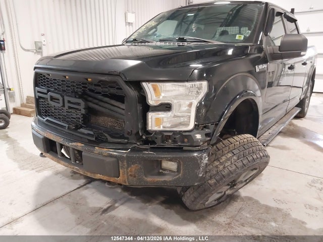 12547344 :رقم المزاد ، 1FTFW1EF1GFD25355 vin ، 2016 Ford F150 Supercrew مزاد بيع
