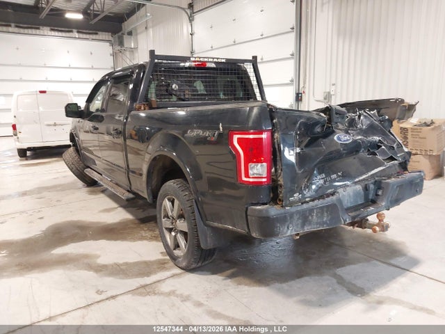 12547344 :رقم المزاد ، 1FTFW1EF1GFD25355 vin ، 2016 Ford F150 Supercrew مزاد بيع