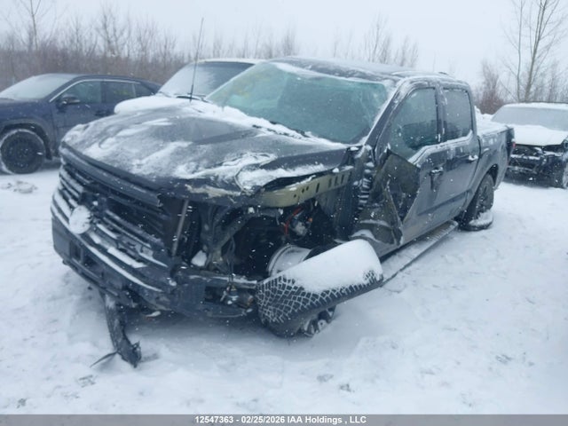 Продажа на аукционе авто 2025 Ford F-150 Xlt, vin: 1FTEW3LP5SKE34467, номер лота: 12547363