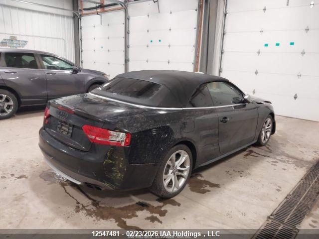 Продажа на аукционе авто 2010 Audi S5 Premium Plus, vin: WAUCGAFH3AN012530, номер лота: 12547481