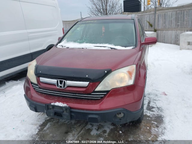 12547569 :رقم المزاد ، 5J6RE48739L810164 vin ، 2009 Honda Cr-v Ex-l مزاد بيع
