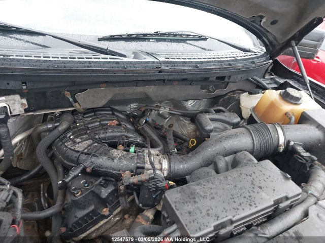 2011 Ford F150 Supercrew მანქანა იყიდება აუქციონზე, vin: 1FTEW1CM9BFA66880, აუქციონის ნომერი: 12547579
