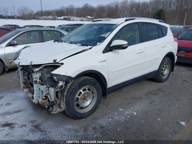 JTMRJREVXGD002080 Toyota RAV4