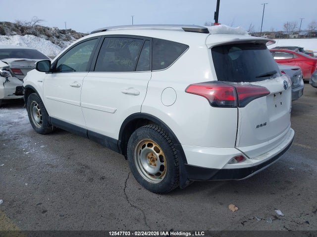 JTMRJREVXGD002080 Toyota RAV4