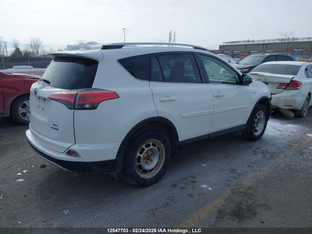 JTMRJREVXGD002080 Toyota RAV4
