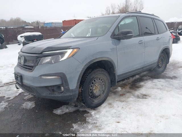 Auction sale of the 2022 Honda Pilot Trailsport, vin: 5FNYF6H8XNB503462, lot number: 12547754