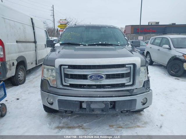 2014 Ford F-150 Xlt მანქანა იყიდება აუქციონზე, vin: 1FTFW1EF8EFC75146, აუქციონის ნომერი: 12547766